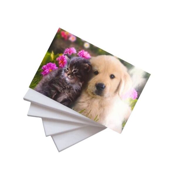 Papel Fotográfico Glossy 230g A4 c/ 20 Fls