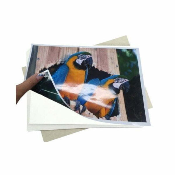 Papel Fotográfico Glossy Dupla Face 180g A4 c/ 20 Fls