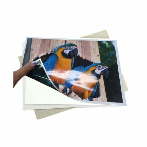 Papel Fotográfico Glossy Dupla Face 220g A4 c/ 20 Fls