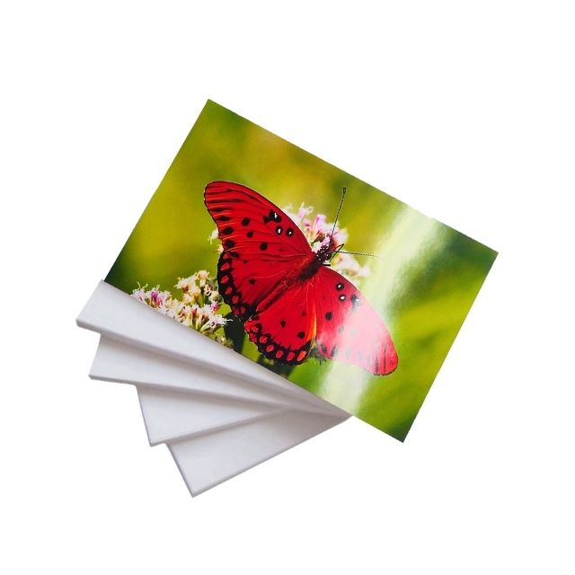 Papel Fotográfico Glossy 180g A4 c/ 50 Fls