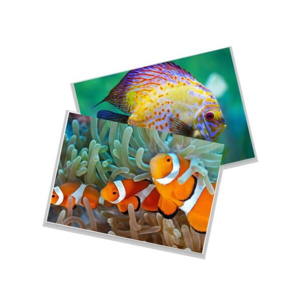 Papel Fotográfico Matte 170g A4 c/ 20 Fls