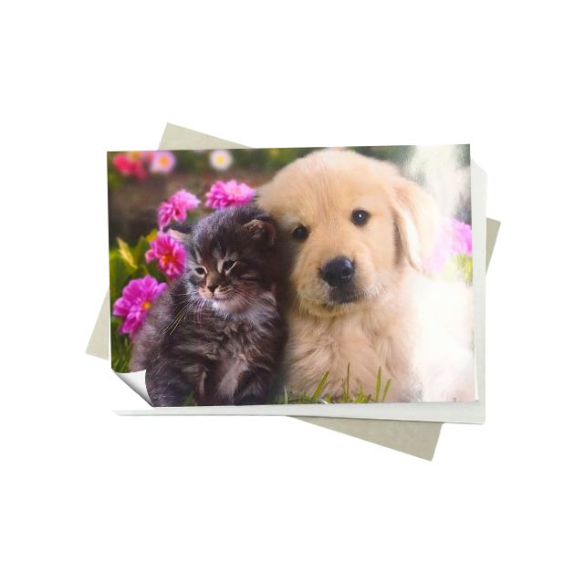 Papel Fotográfico Glossy Adesivo 115g  A4 c/ 20 Fls