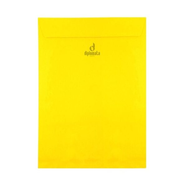 Envelope Color Plus Rio de Janeiro 80g saco 24x34 C/ 10 Unid