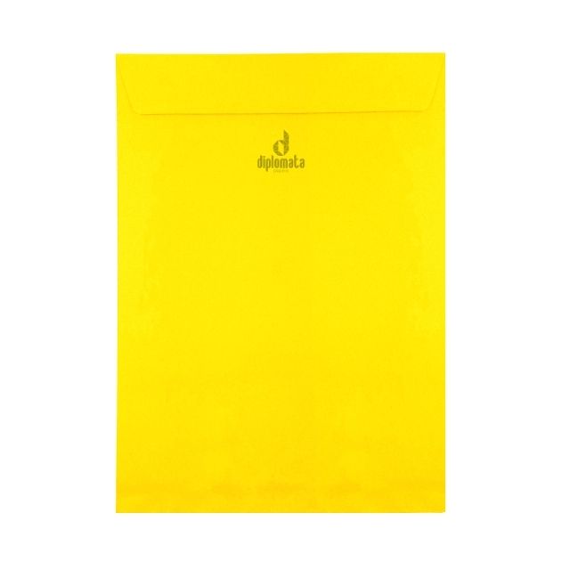 Envelope Color Plus Rio de Janeiro 80g saco 24x34 C/ 10 Unid