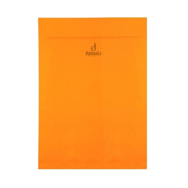 Envelope Color Plus Cartagena 80g saco 24x34 C/ 10 Unid