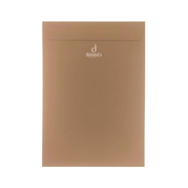 Envelope Color Plus Havana 80g saco 24x34 C/ 10 Unid