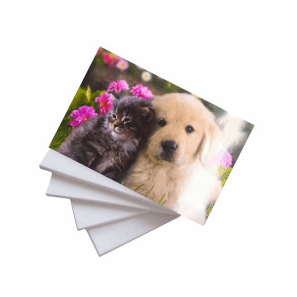 Papel Fotográfico Glossy 230g A4 c/ 50 Fls