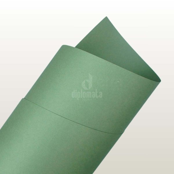 Papel Sensation Plus Floresta