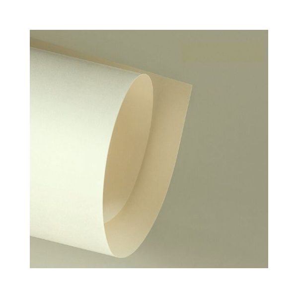 Papel Color Plus Marfim