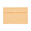 Envelope Color Plus Madrid 80g 16,2x22,9 c/ 10 Unid