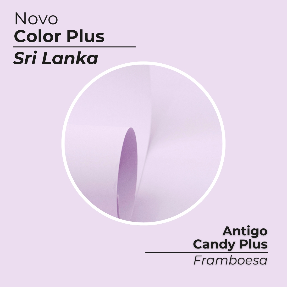 Papel Color Plus Sri Lanka (Candy Framboesa) - Imagem 3